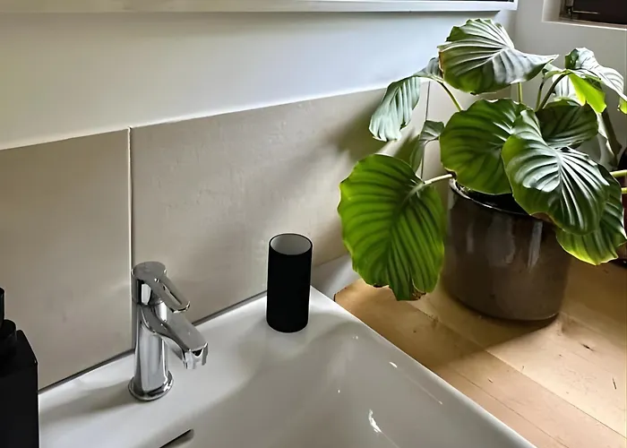 Eifelzeit 1 Apartmán